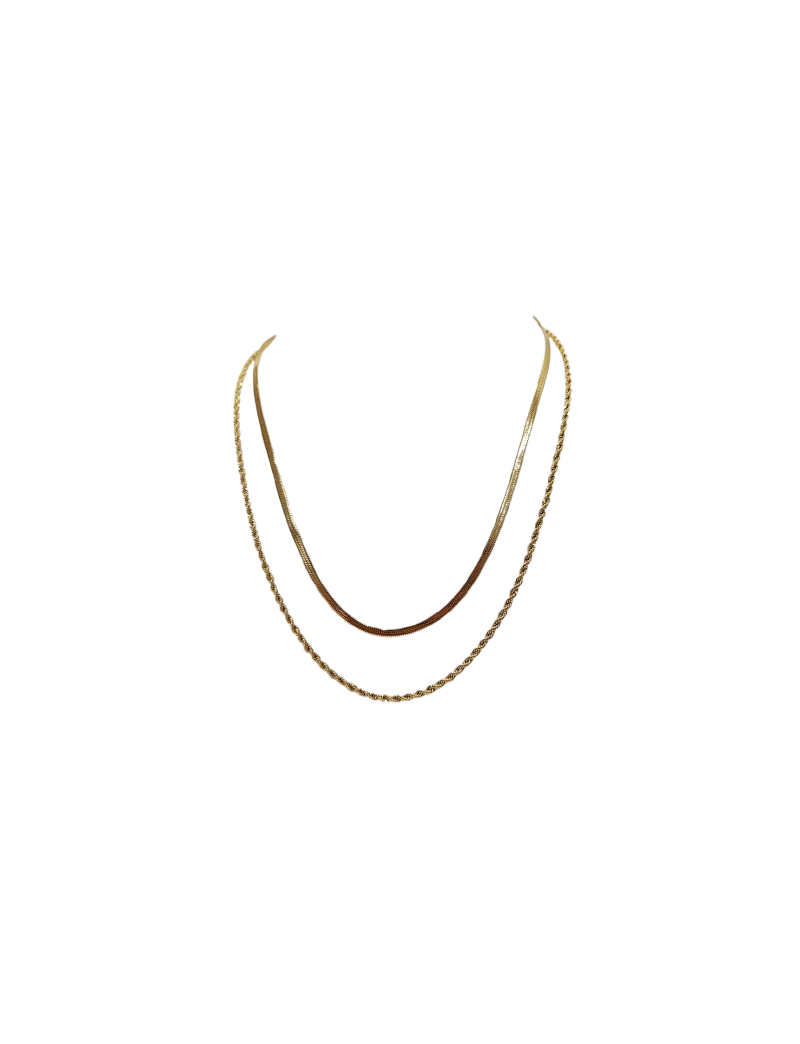 Colar duplo Aço Lotus D.