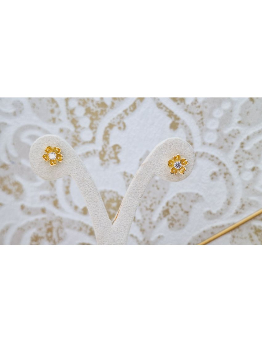 Brincos Prata Dourada Flor