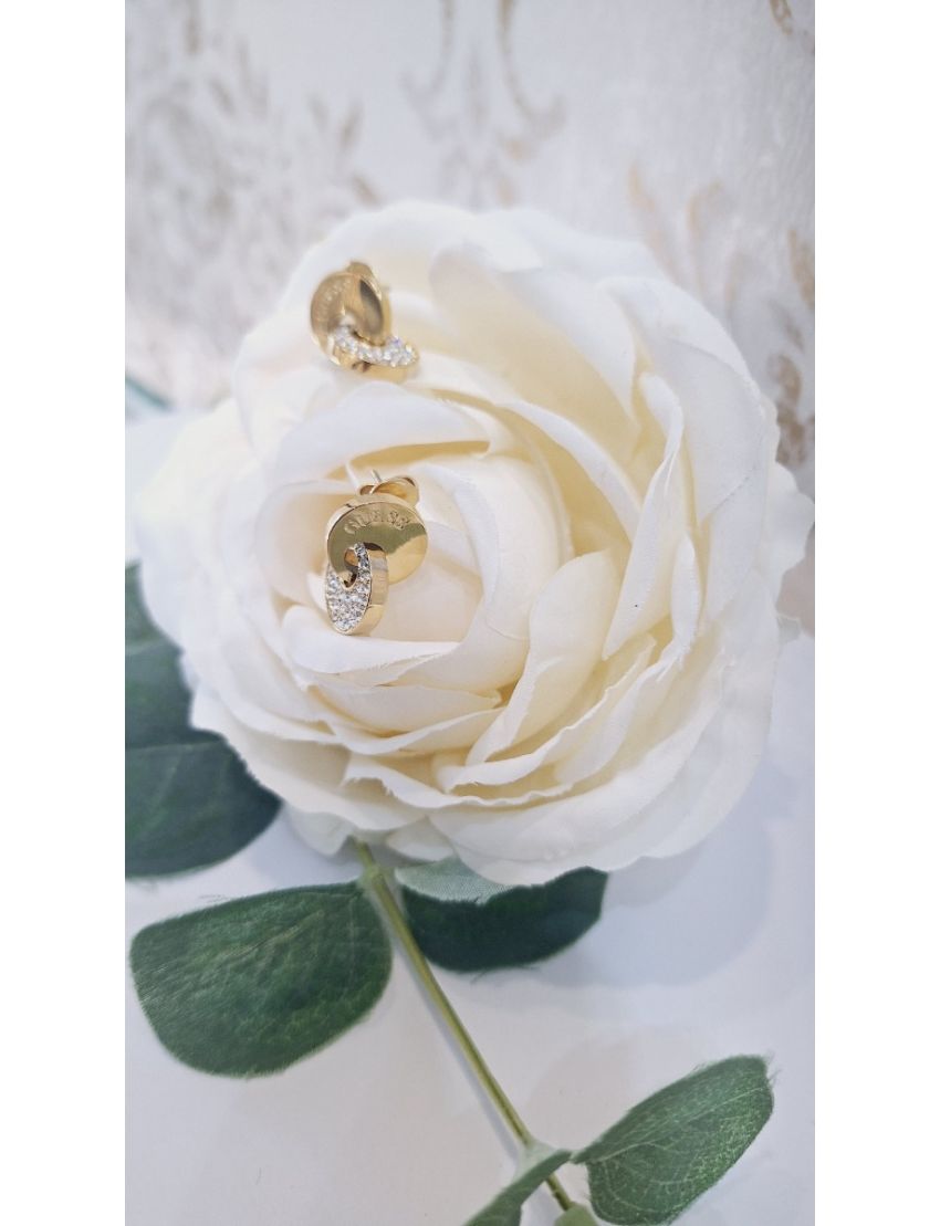 Brincos Aço Guess D. 2 circulos