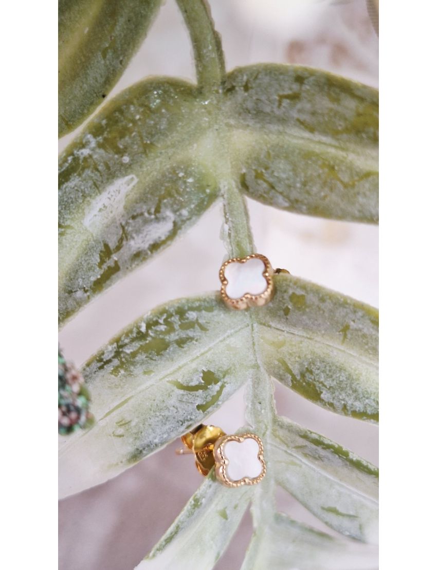 Brinco Prata Flor com Madreperola 