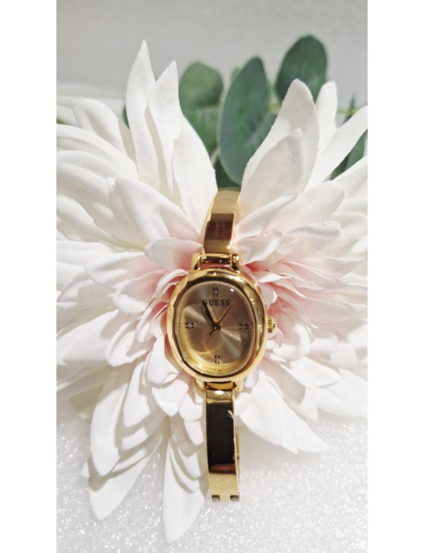 Relógio Guess GW0924L2