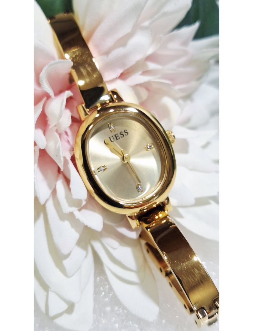 Relógio Guess GW0924L2