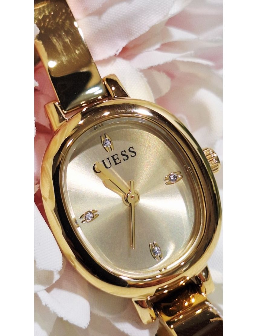 Relógio Guess GW0924L2